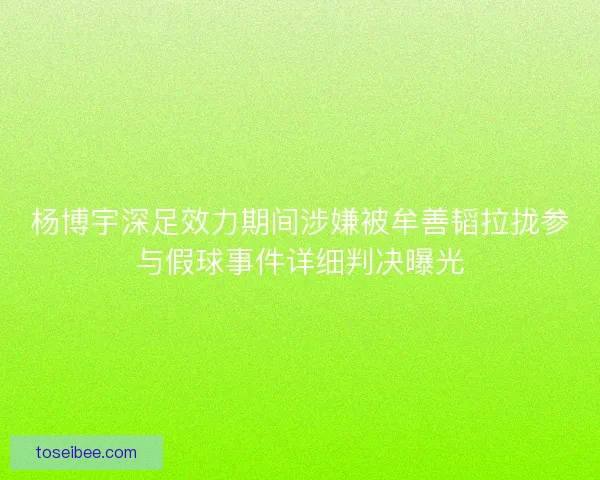 杨博宇深足效力期间涉嫌被牟善韬拉拢参与假球事件详细判决曝光