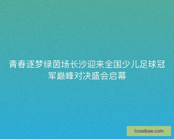 青春逐梦绿茵场长沙迎来全国少儿足球冠军巅峰对决盛会启幕 青春逐梦绿茵场长沙迎来全国少儿足球冠军巅峰对决盛会启幕